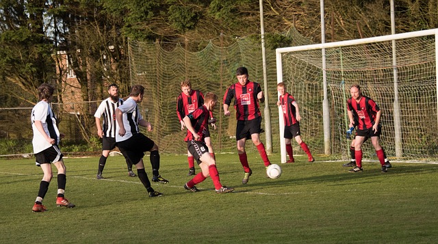 CBA：山东男篮主场大胜宁波